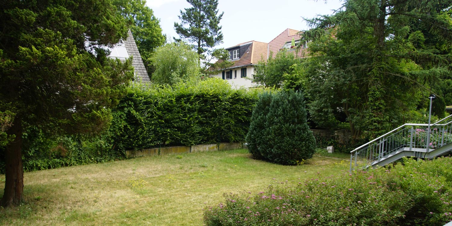 Ein grüner Garten mit einer Hecke