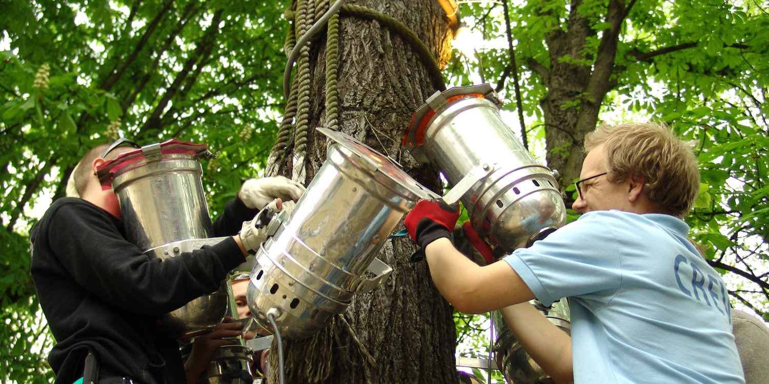 Scheinwerfer am Baum