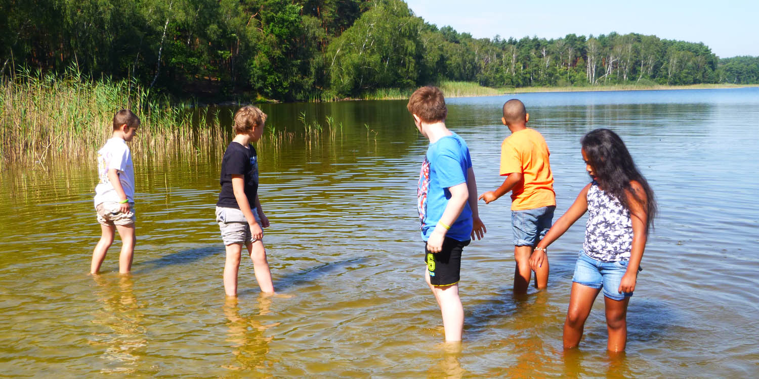 Mehrere Kidner stehen mit den Füßen in einem See