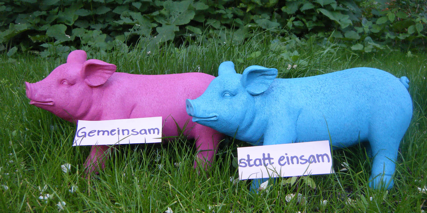 Es stehen ein rosa und ein blaues Schwein aus hartem Material auf einer Wiese mit der Nachricht "Gemeinsam" und "statt einsam"