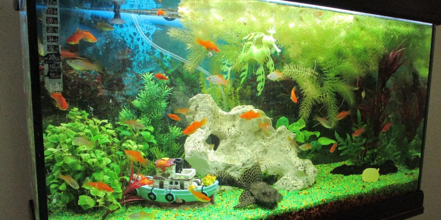 Aquarium