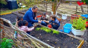 Vier Kinder und eine Erzieherin hocken am Rand eines Gemüsebeetes im Kita-Garten und pflanzen frische Kräuter ein.