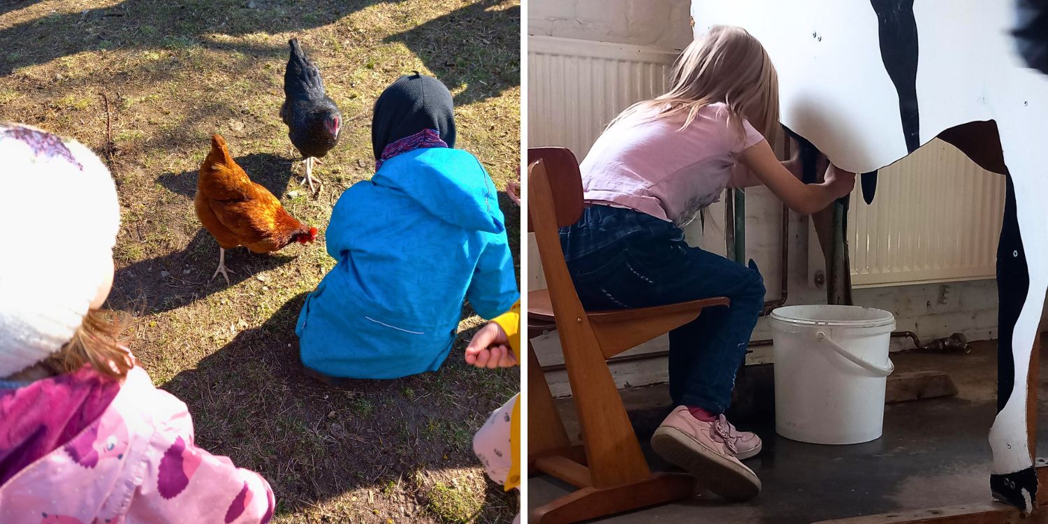 Linkes Foto: Drei Kinder hocken am Boden einer Wiese und füttern zwei Hühner. Rechts: Ein Mädchen sitzt auf einem Stuhl und melkt eine Kuh aus Plaste/Pappe. Unter dem Euter steht ein Plasteeimer.