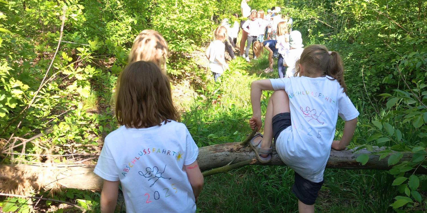 Kinder klettern über einen im Wald querliegenden Ast und laufen einen Waldpfad entlang.