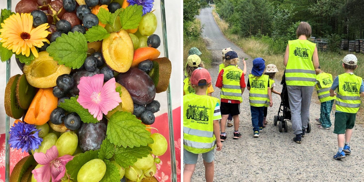 Links: In einer Glasschale liegen Beeren, Obst und essbare Blüten. Rechts: Kinder laufen durch den Wald, einen Waldweg entlang.
