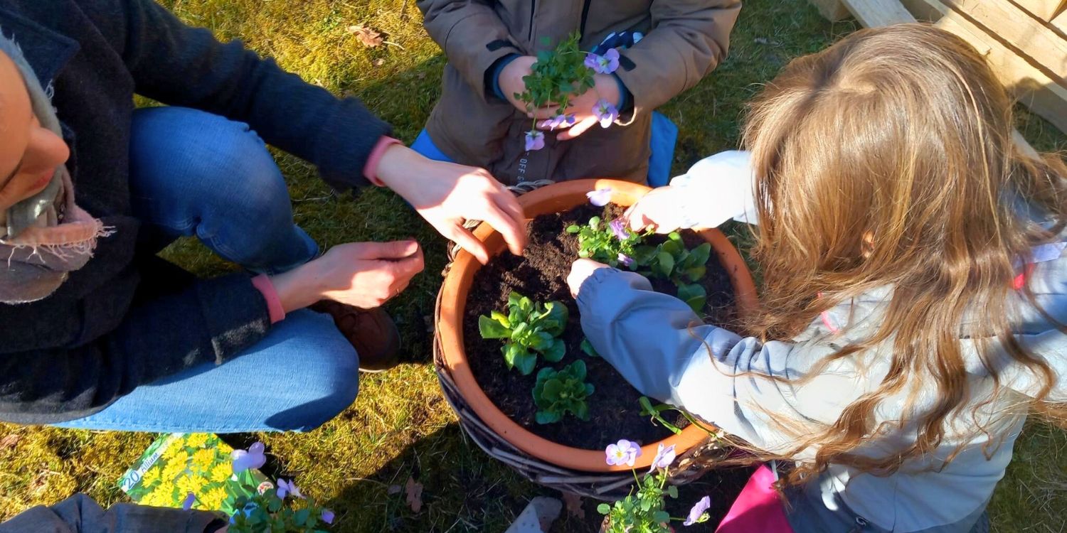 Drei Kinder pflanzen junge Pflanzen in einen Topf.