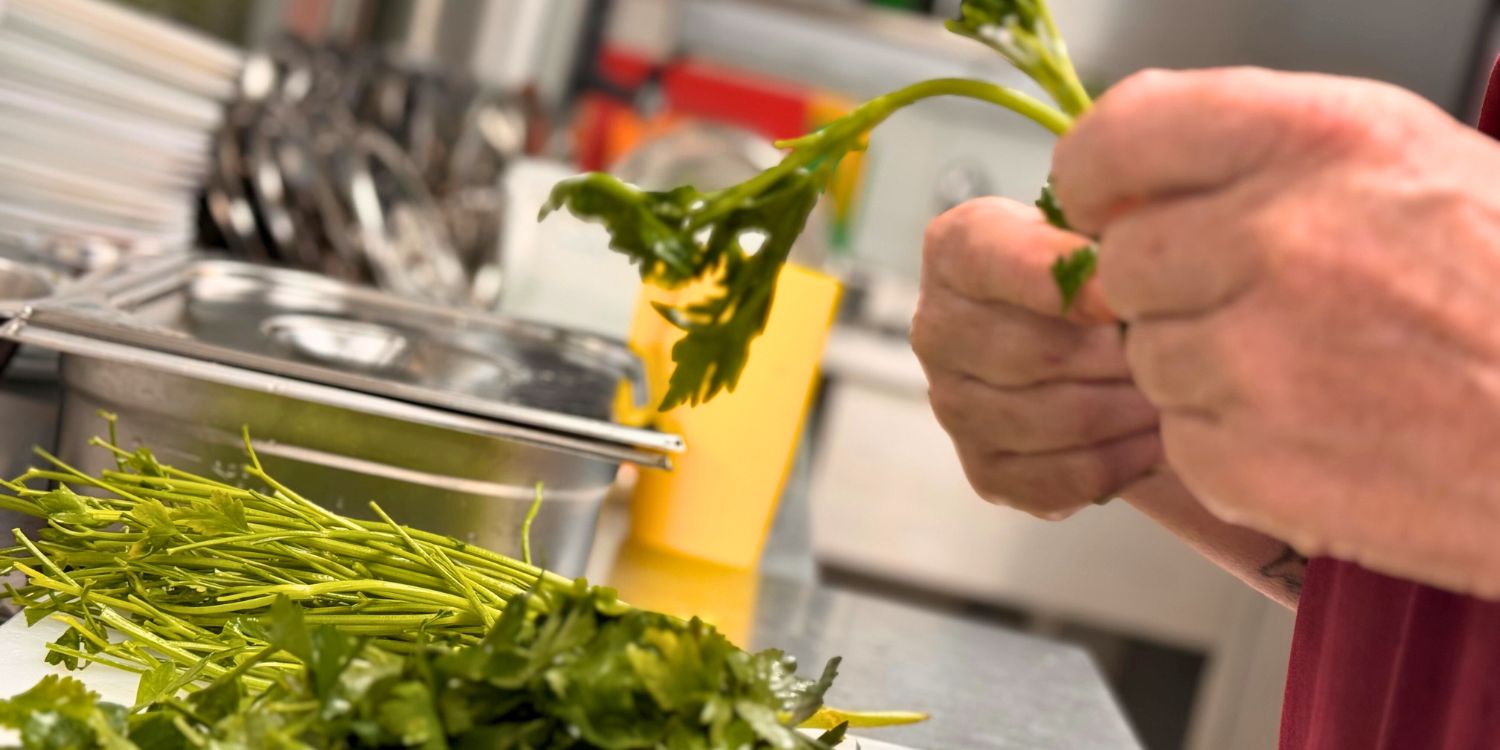 Ein Mensch pflückt Küchenkräuter auseinander.